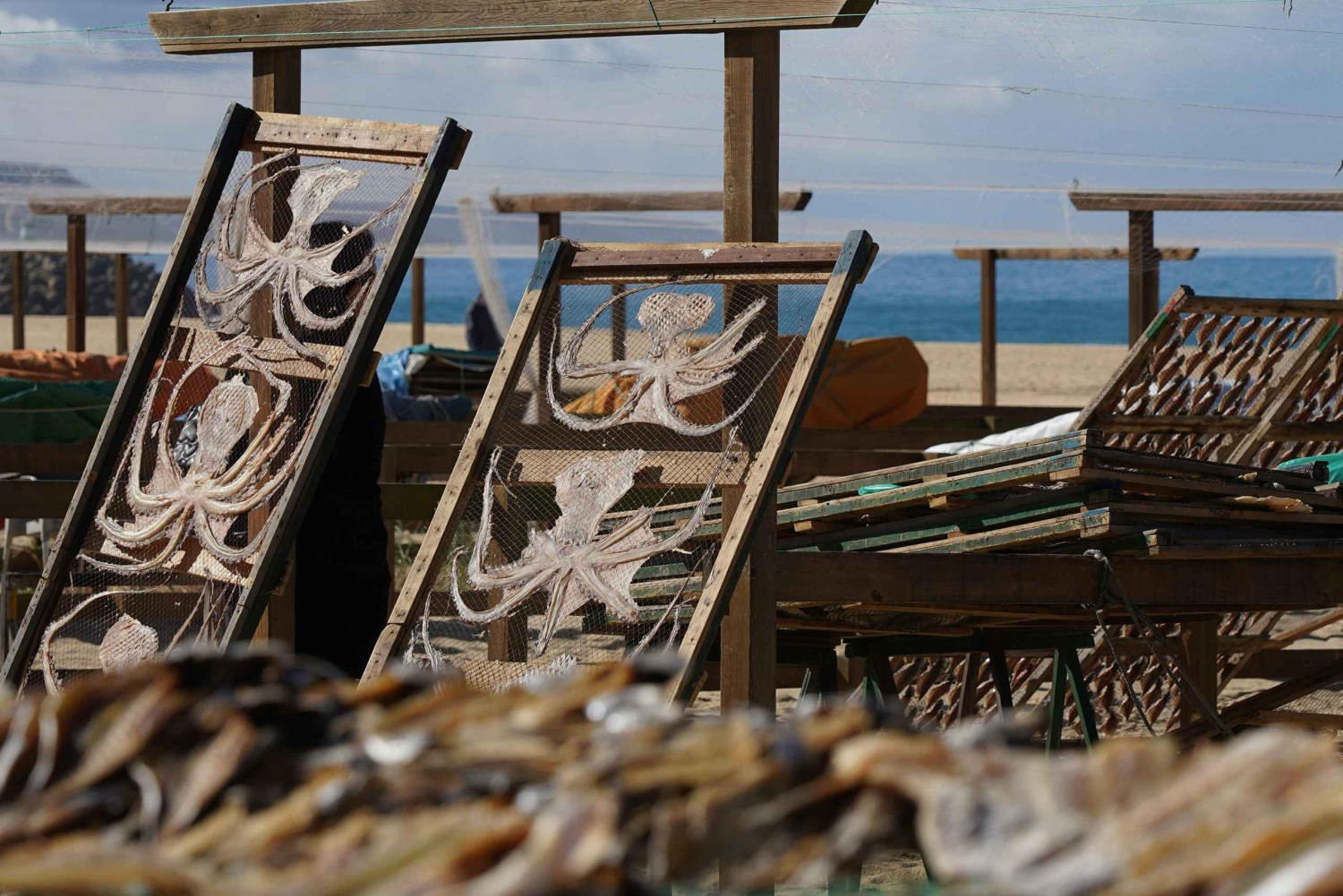 Lissabon: Portoon tai päinvastoin Päiväretki enintään 3 pysähdyksellä.