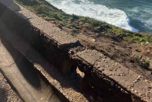 Tour privato da Lisbona a Porto passando per Fatima, Nazare e Aveiro