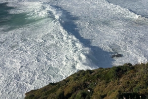 Tour particular de Lisboa ao Porto via Fátima, Nazaré e Aveiro