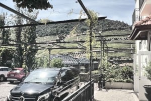 Tour particular de Lisboa ao Porto via Fátima, Nazaré e Aveiro