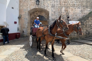 Lissabon: Privater Transfer nach Nazaré und Óbidos