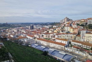 Da Lisbona a Porto con Óbidos-Nazaré-Fátima-Coimbra-Aveiro