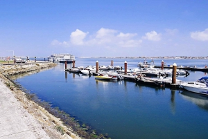 Da Lisbona a Porto con Óbidos-Nazaré-Fátima-Coimbra-Aveiro