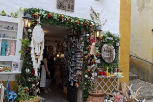 Da Lisbona a Porto con Óbidos-Nazaré-Fátima-Coimbra-Aveiro