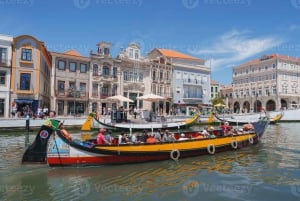 Da Lisbona a Porto con fino a 4 fermate: Óbidos, Nazaré, Fátima e Aveiro