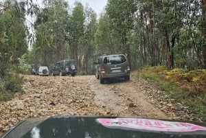 Asuminen 4x4 Oporto Montains