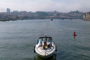 Luksusowa wycieczka jachtem po Douro: Malownicze widoki i bezpłatne napoje