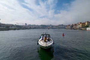 Luksusowa wycieczka jachtem po Douro: Malownicze widoki i bezpłatne napoje