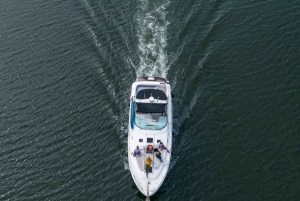 Luksusowa wycieczka jachtem po Douro: Malownicze widoki i bezpłatne napoje