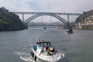 Luksusowa wycieczka jachtem po Douro: Malownicze widoki i bezpłatne napoje