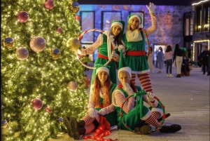 Porton taianomaiset jouluvalot -yökierros 1,5 h