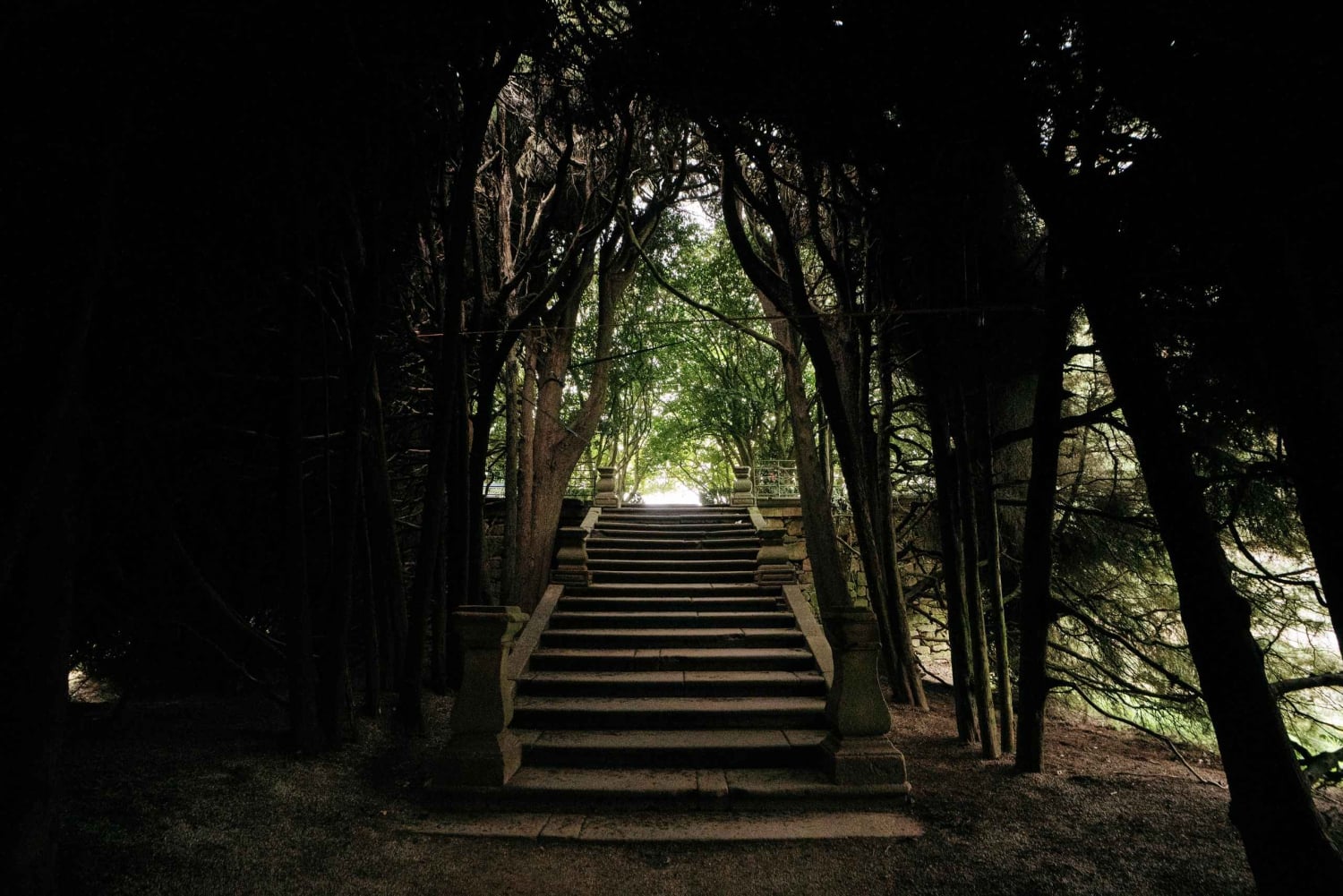 Mateus Palace - Sur les traces de l'histoire du vin