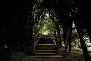 Mateus Palace - In the Footsteps of Wine History