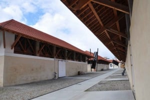 Matosinhos (Porto) : 'Visite culinaire 'De la mer à l'assiette