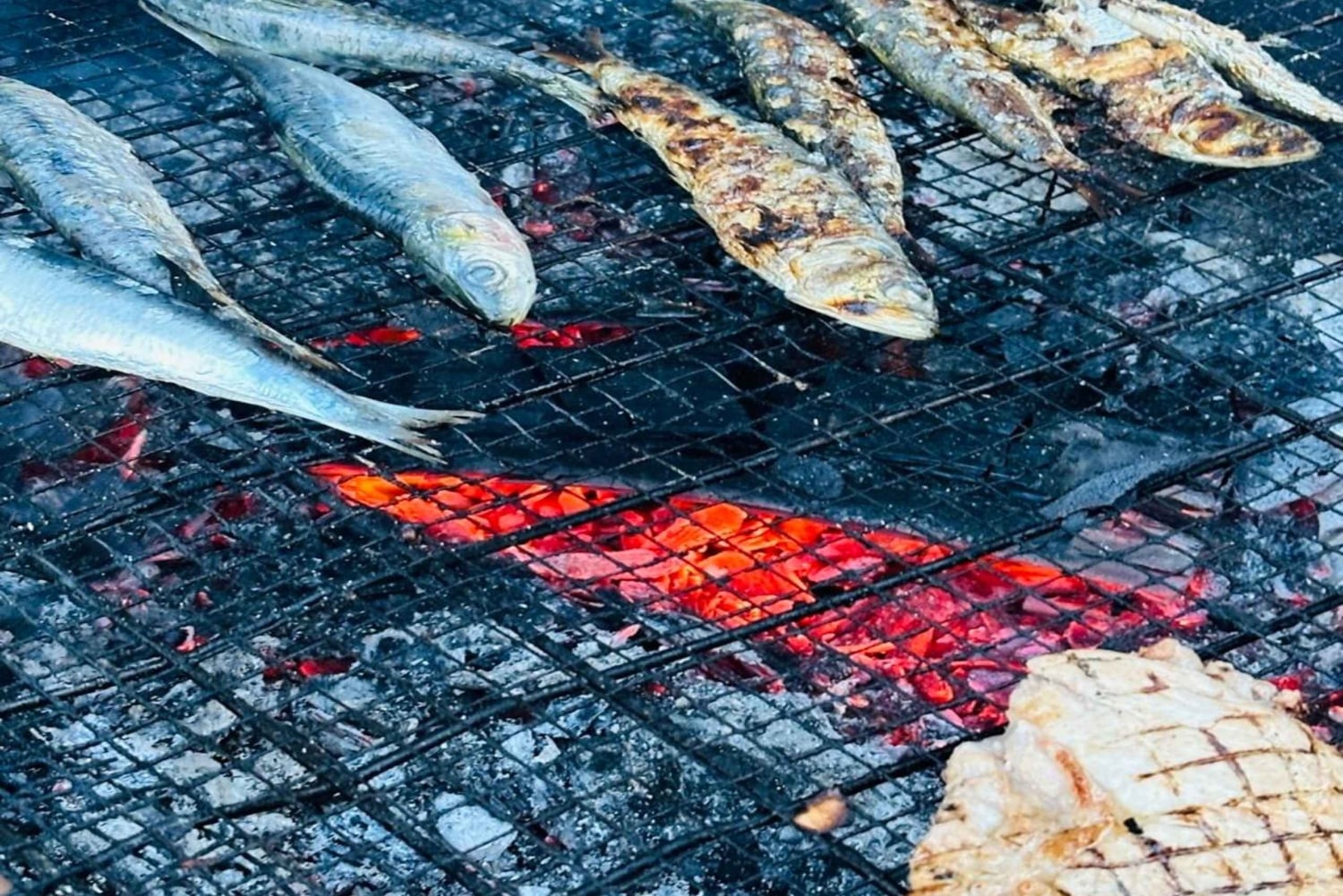 マトジーニョス（ポルト）：「海からお皿まで」グルメツアー