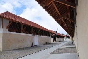 マトジーニョス（ポルト）：「海からお皿まで」グルメツアー