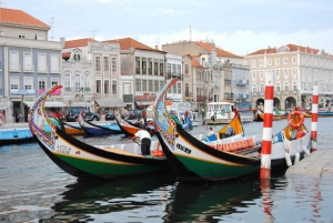 Privat tur till Coimbra och Aveiro – anpassningsbar upplevelse