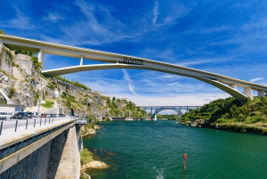 Porto Tuk Tuk Tour: Mellem broer og mysterier - 1.30h