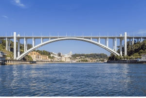 Tour di Porto Tuk Tuk: tra ponti e misteri - 1.30h