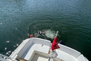 Passeio de barco rio douro inesquecível