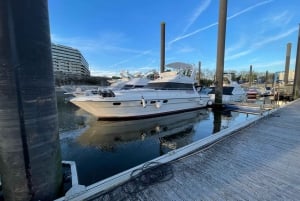 Passeio de barco rio douro inesquecível