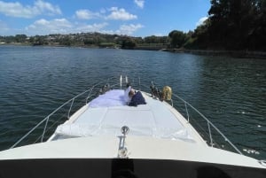 Passeio de barco rio douro inesquecível