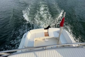 Passeio de barco rio douro inesquecível