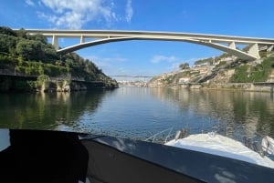 Passeio de barco rio douro inesquecível