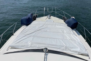 Passeio de barco rio douro inesquecível