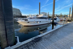 Passeio de barco rio douro inesquecível