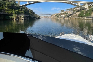 Passeio de barco rio douro inesquecível