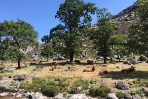 Peneda Geres National Park: Private Tour mit einem Guide