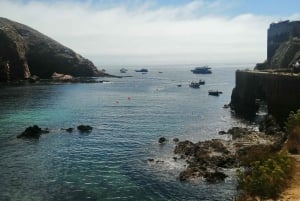 Peniche: Berlengas-øens grottetur og snorkling