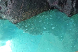 Peniche: Berlengas Island Caves Tour and Snorkeling