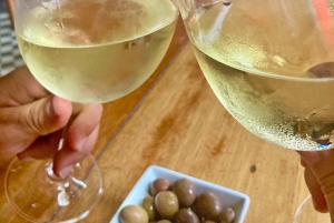 Tour a pie del vino de Oporto y el vino con cultura - máx. 8 pax