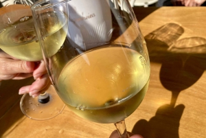 Tour a pie del vino de Oporto y el vino con cultura - máx. 8 pax