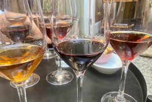 Tour a pie del vino de Oporto y el vino con cultura - máx. 8 pax