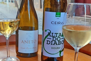 Tour a pie del vino de Oporto y el vino con cultura - máx. 8 pax