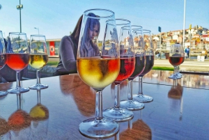Tour a pie del vino de Oporto y el vino con cultura - máx. 8 pax