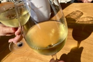 Havenwijn & wijn wandeltour met cultuur - max 8 pax