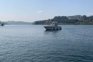 Porto: tour in barca di 2 ore sul fiume Douro