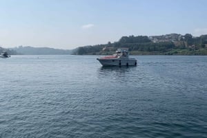 Porto: tour in barca di 2 ore sul fiume Douro