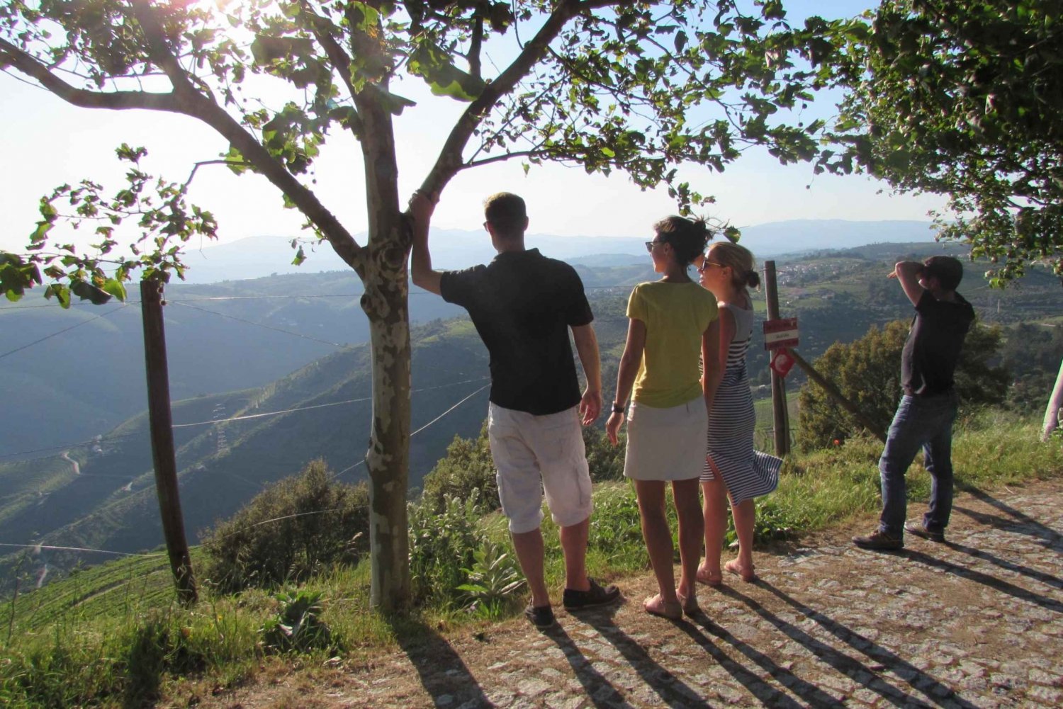 Oporto: Visita a 3 viñedos del valle del Duero con almuerzo
