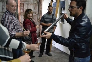 Porto: 3 Douro Vallei Wijngaarden Tour met Lunch