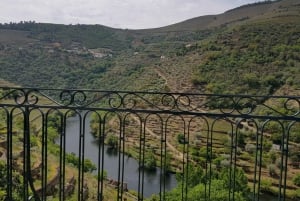 Porto: 3 Douro Vallei Wijngaarden Tour met Lunch