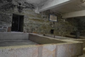 Porto: 3 Douro Vallei Wijngaarden Tour met Lunch