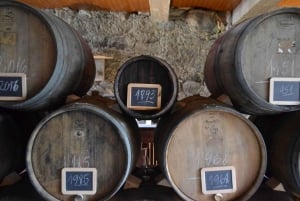 Porto: 3 Douro Vallei Wijngaarden Tour met Lunch