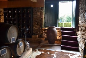 Porto: 3 Douro Vallei Wijngaarden Tour met Lunch