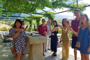 Porto: 3 Douro Vallei Wijngaarden Tour met Lunch