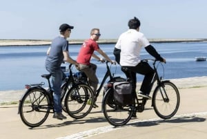 Porto : visite à vélo de 3 heures